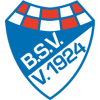 https://img.brianuzna.com/img/football/team/1c8e599bde5eff040a0983e554229585.png