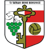 https://img.brianuzna.com/img/football/team/5b01c52c68b4b145d880a9e8326aec3b.png