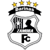 https://img.brianuzna.com/img/football/team/690b2ff6745f451654e0f9a381373d54.png