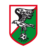 https://img.brianuzna.com/img/football/team/e6a8908dd206e2ea02d9803c82c60bba.png